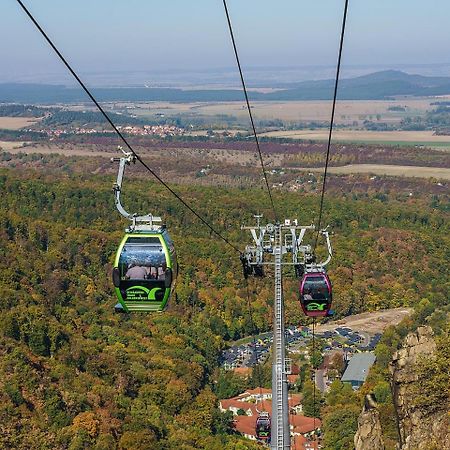 Grosse Wanderer Unterkunft Am Hexentanzplatz U Thale Εξωτερικό φωτογραφία